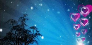 Le Créateur – Quelques Rappels de Plus….